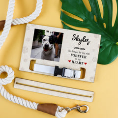 Pet Memorial Photo Stand for Collar