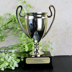 Trophy Cups with Wooden Base and Plaque