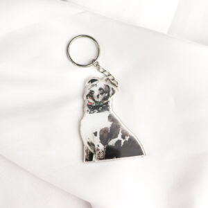 Custom Pet Photo Acrylic Keychain