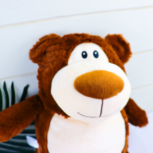 Brown Bear Embroidered Teddy - Cubbie Brand