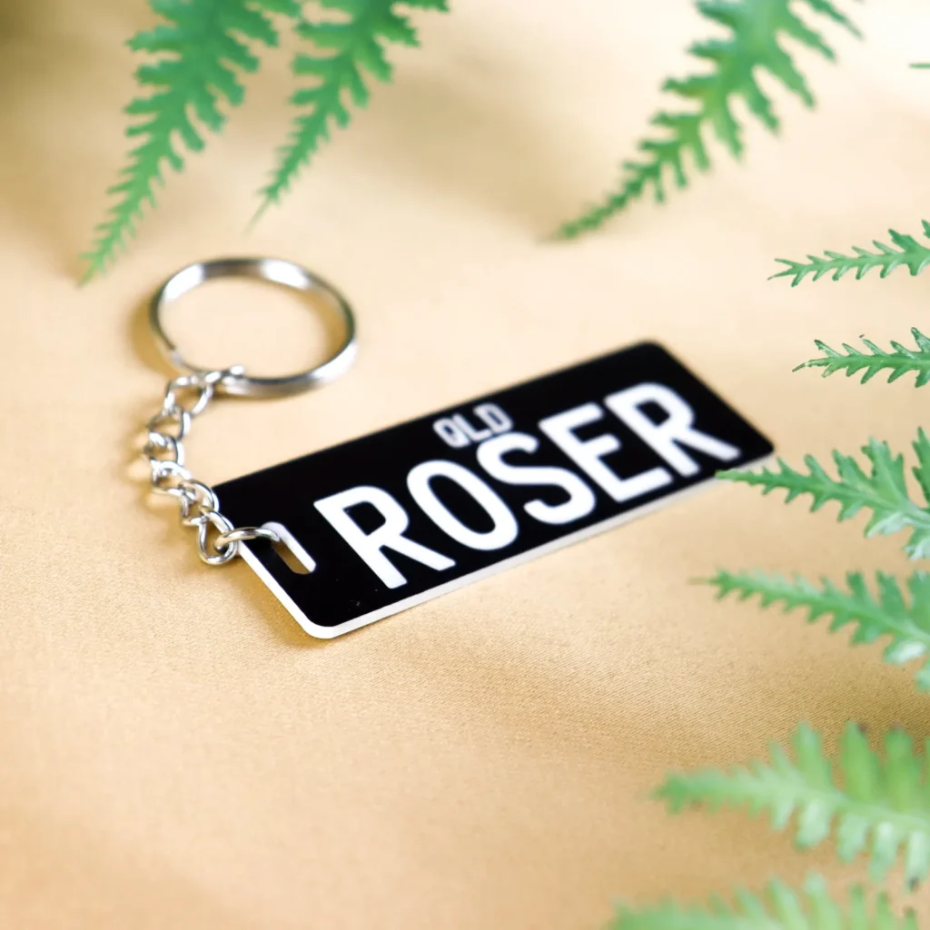Licence plate key chains and keyrings 5 Larger plateit licence plate keychain - all colours
