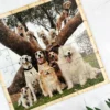 Personalised Wooden Photo Puzzle - 36 Pieces