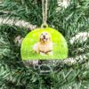 Pet Memorial Ornament