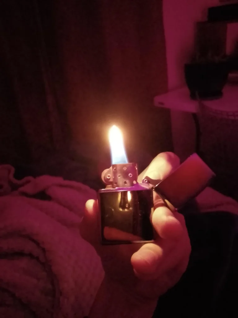 Image #1 from Wilbshire E. Petunia