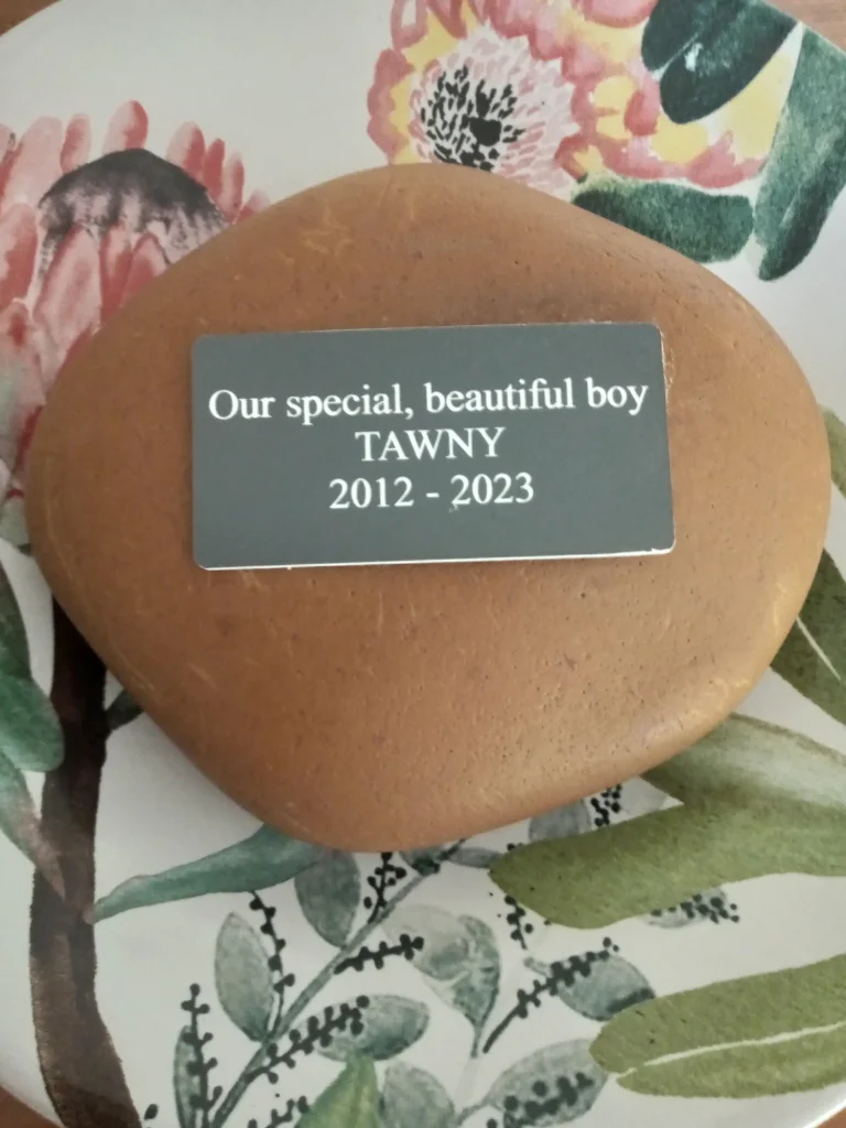 Image #1 from Laurel Wanner