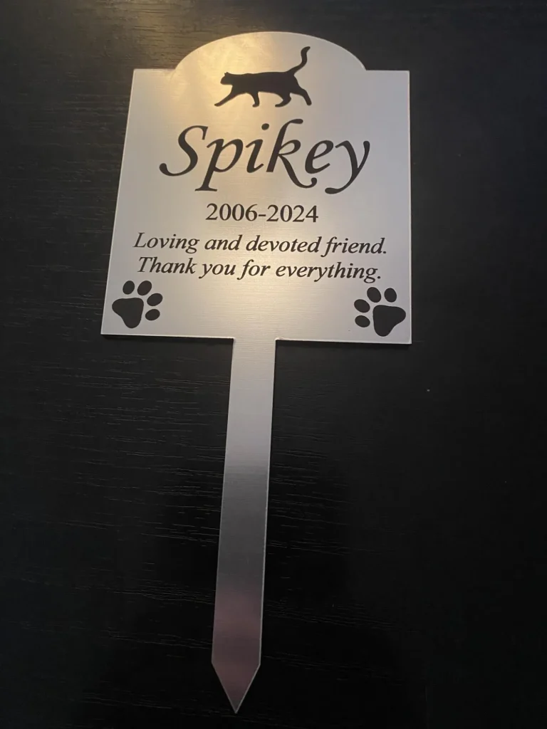 Image #1 from Rachel