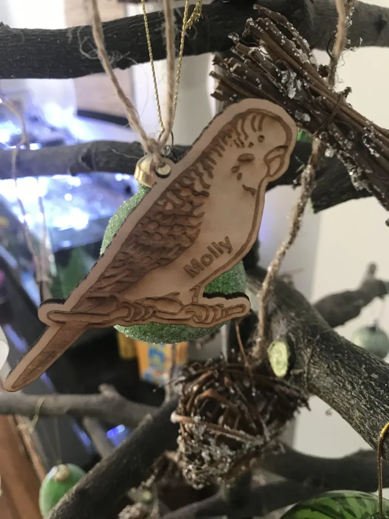 Image #1 from Tracy Teixeira