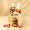 Photo Pet Treat Jar