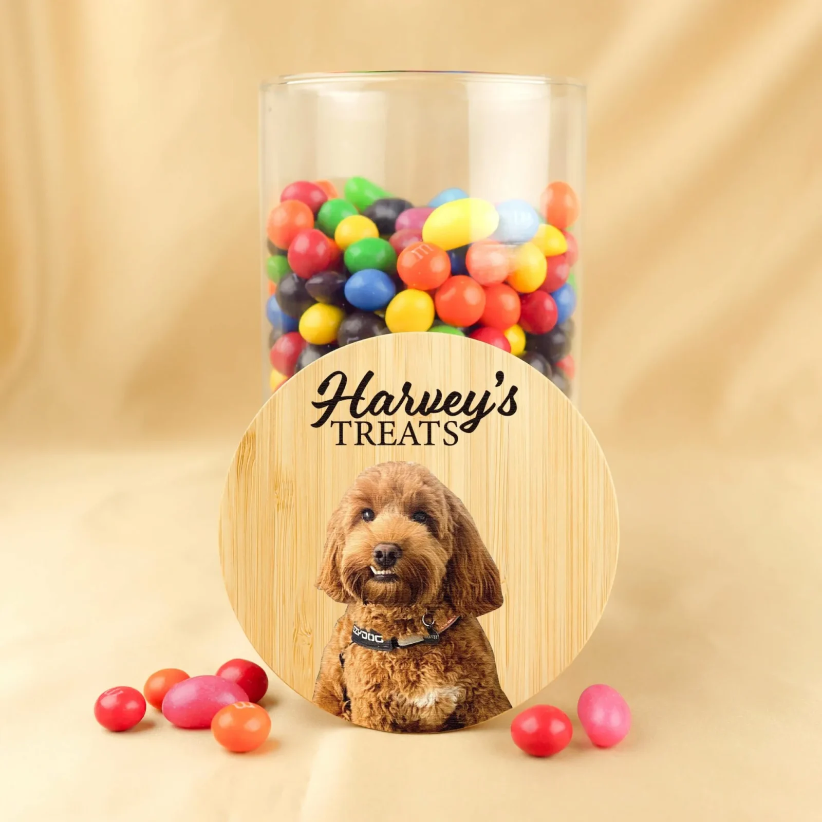 Photo Pet Treat Jar