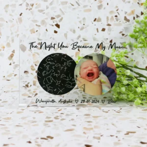 The night you became star map plaque