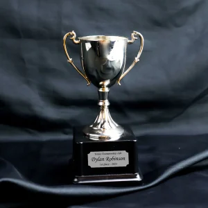 Silver Trophy Cup With Base And Plaque