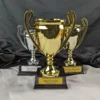 Trophy cups with wooden base and plaque