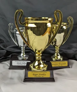 Trophy Cups with Wooden Base and Plaque