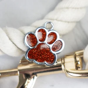 Glitter paw personalised pet tag