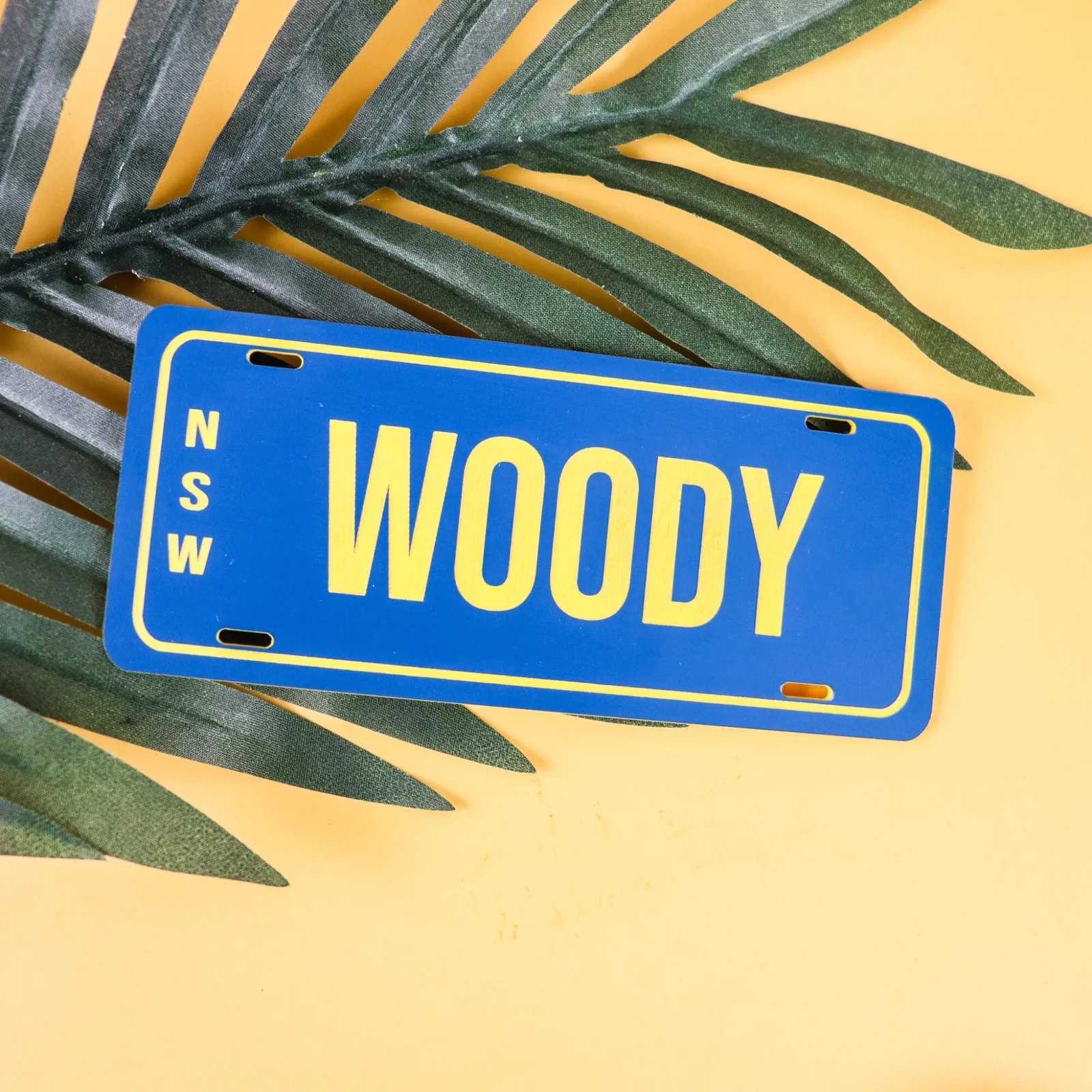 PlateIt© Kids Engraved Licence Plate for Bikes and Ride on Cars