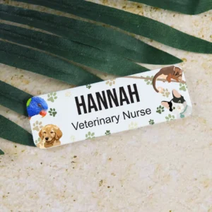 Themed Printed Name Badges