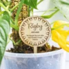 Pet Memorial Wooden Planter Sticks