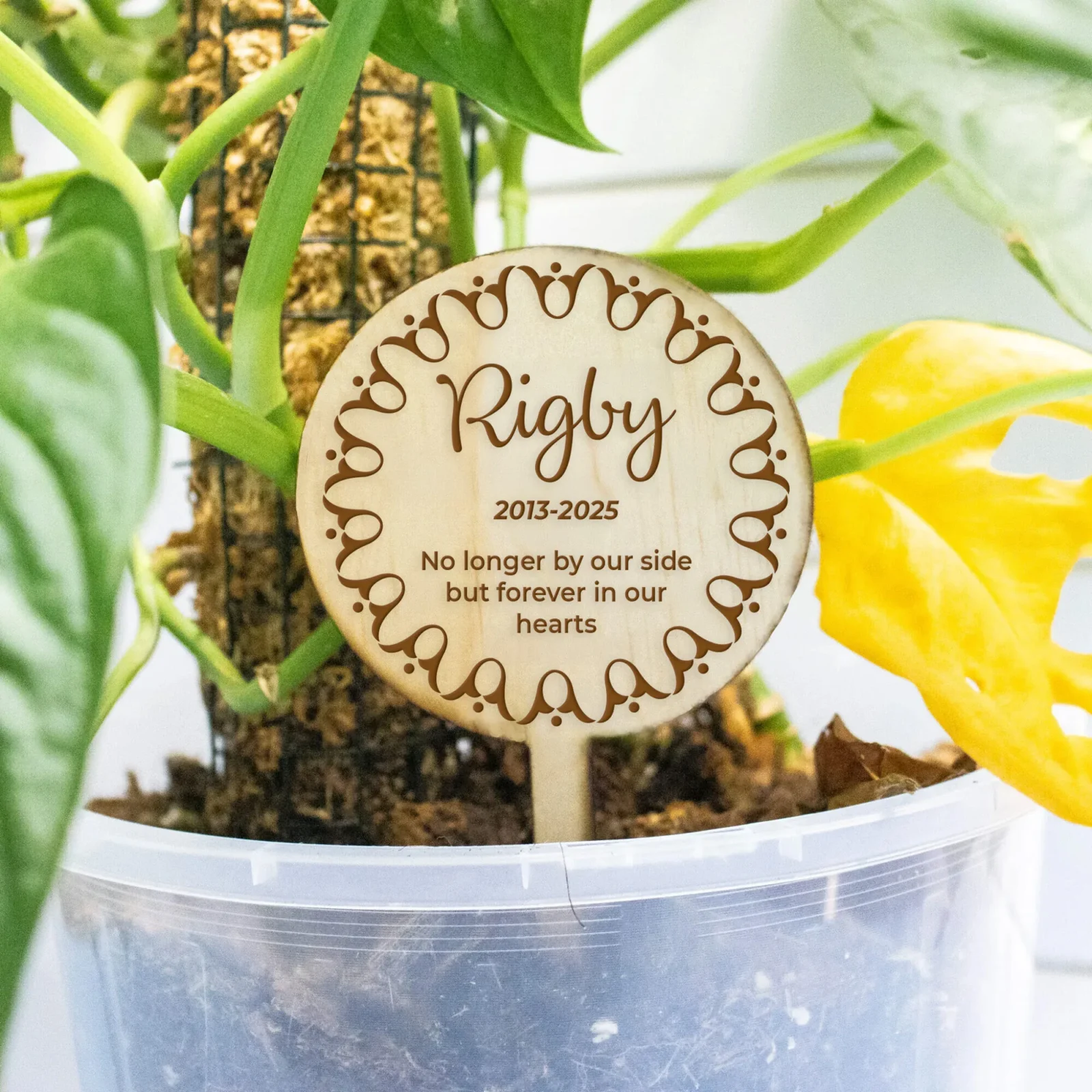 Pet Memorial Wooden Planter Sticks