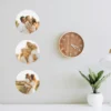 Round photo wall decor sticker pack
