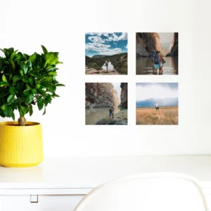 Square Sample Wall Decal Sticker Pack