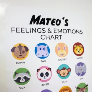 Emotions and Feelings Expression Chart Wall Decal