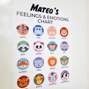 Emotions and feelings expression chart wall decal