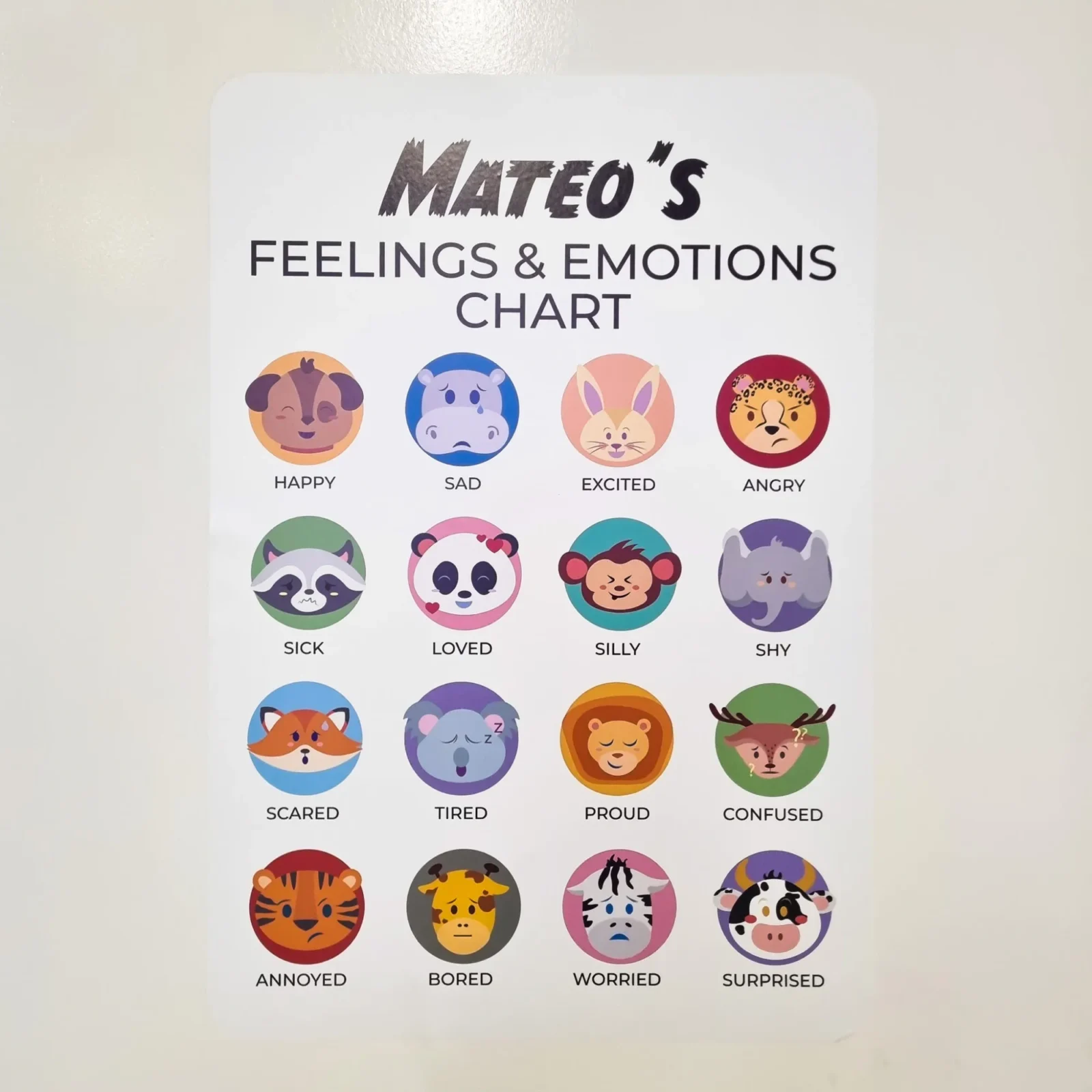 Emotions and Feelings Expression Chart Wall Decal