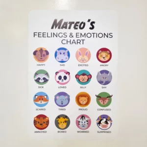 Emotions and feelings expression chart wall decal
