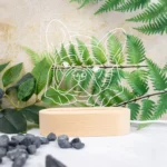 Pet Outline Engraved Night Light