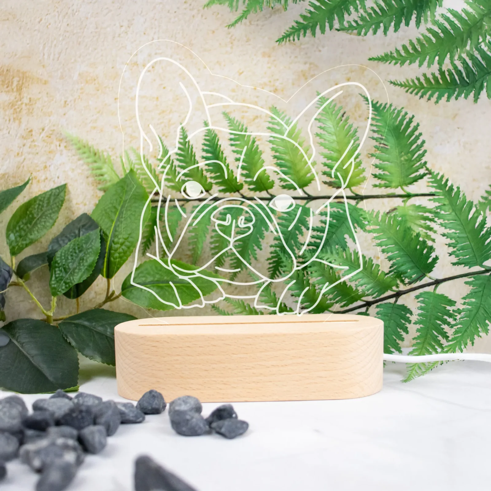 Pet Outline Engraved Night Light