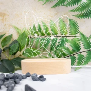 Pet Outline Engraved Night Light