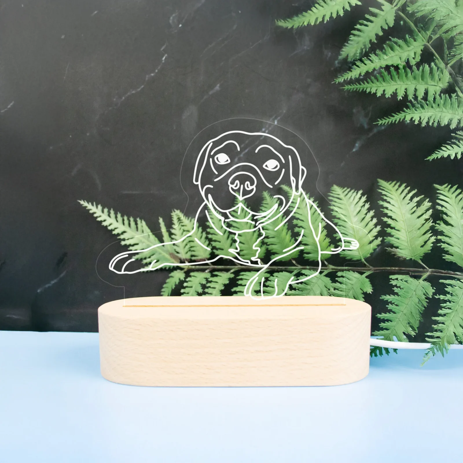 Pet Outline Engraved Night Light