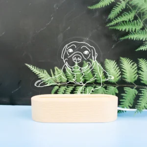Pet outline engraved night light