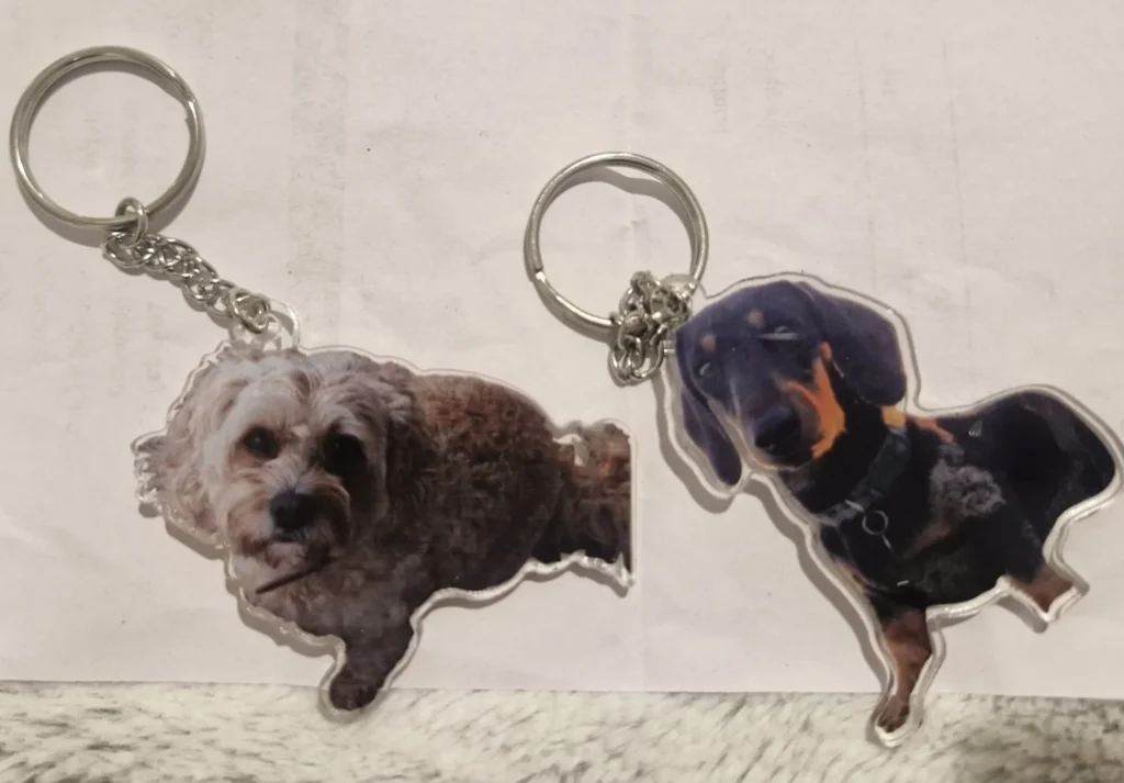 Image #1 from Shian Reynolds