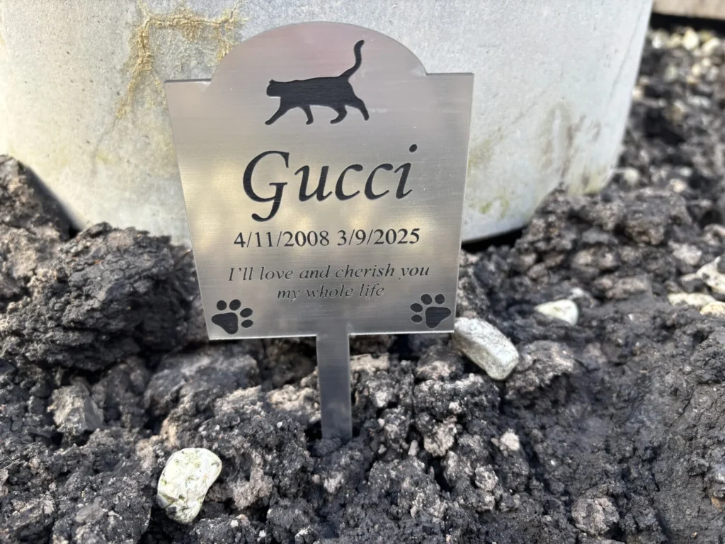 Image #1 from Rosemary