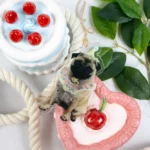 Personalised Pet Photo Acrylic Ornament – Cherish Your Furry Friend