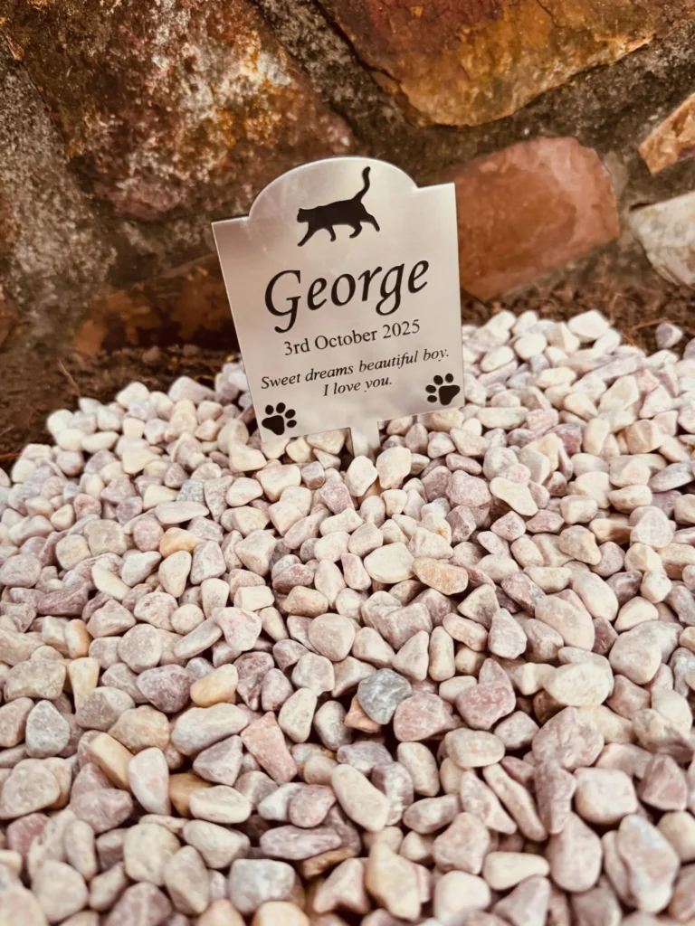 Image #1 from Steve Wallwork