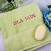 Apple Green Embroidered Bath Towel