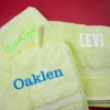 Apple Green Embroidered Bath Towel