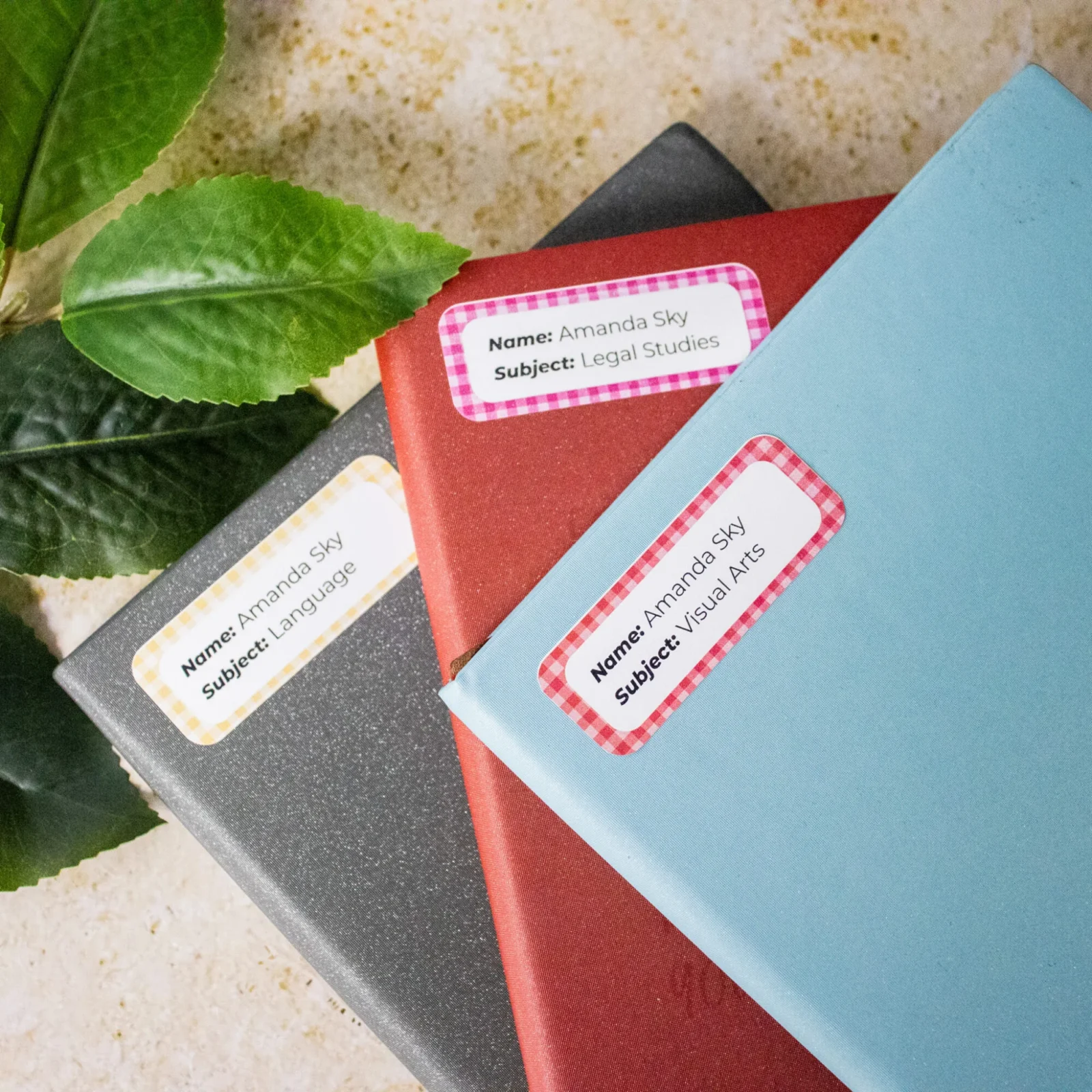 Chequered School Book Name Labels