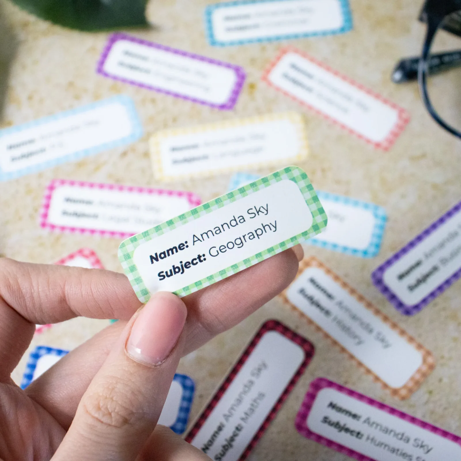 Chequered School Book Name Labels