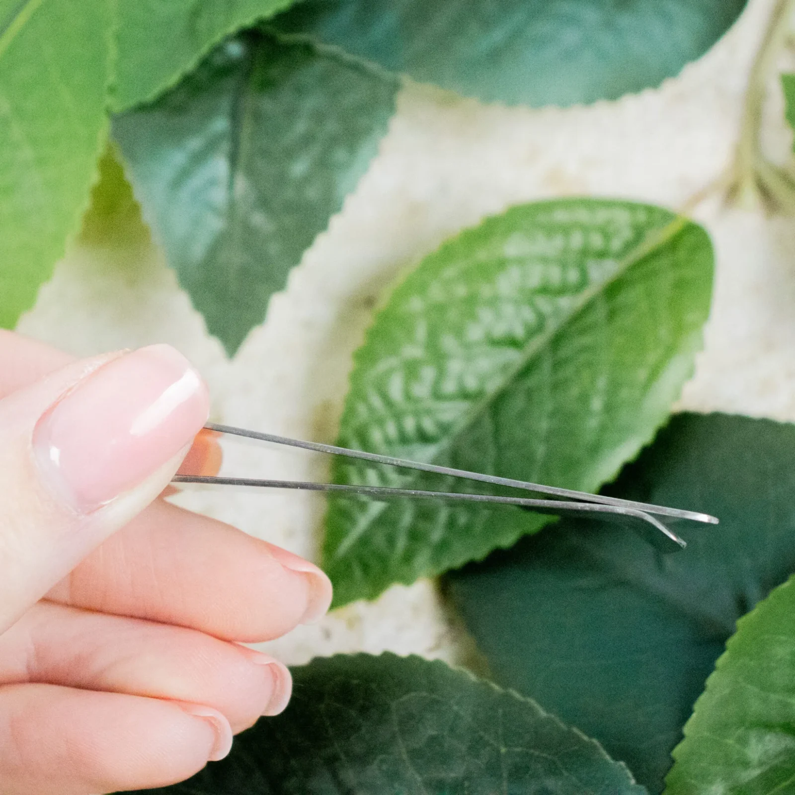 Personalised Stainless Steel Money Clip Various Colours