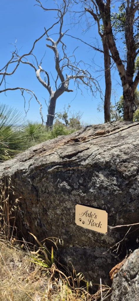 Image #2 from Sarah Ogden