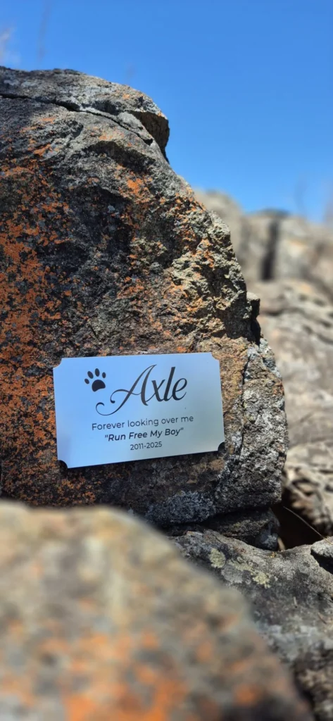 Image #1 from Sarah Ogden