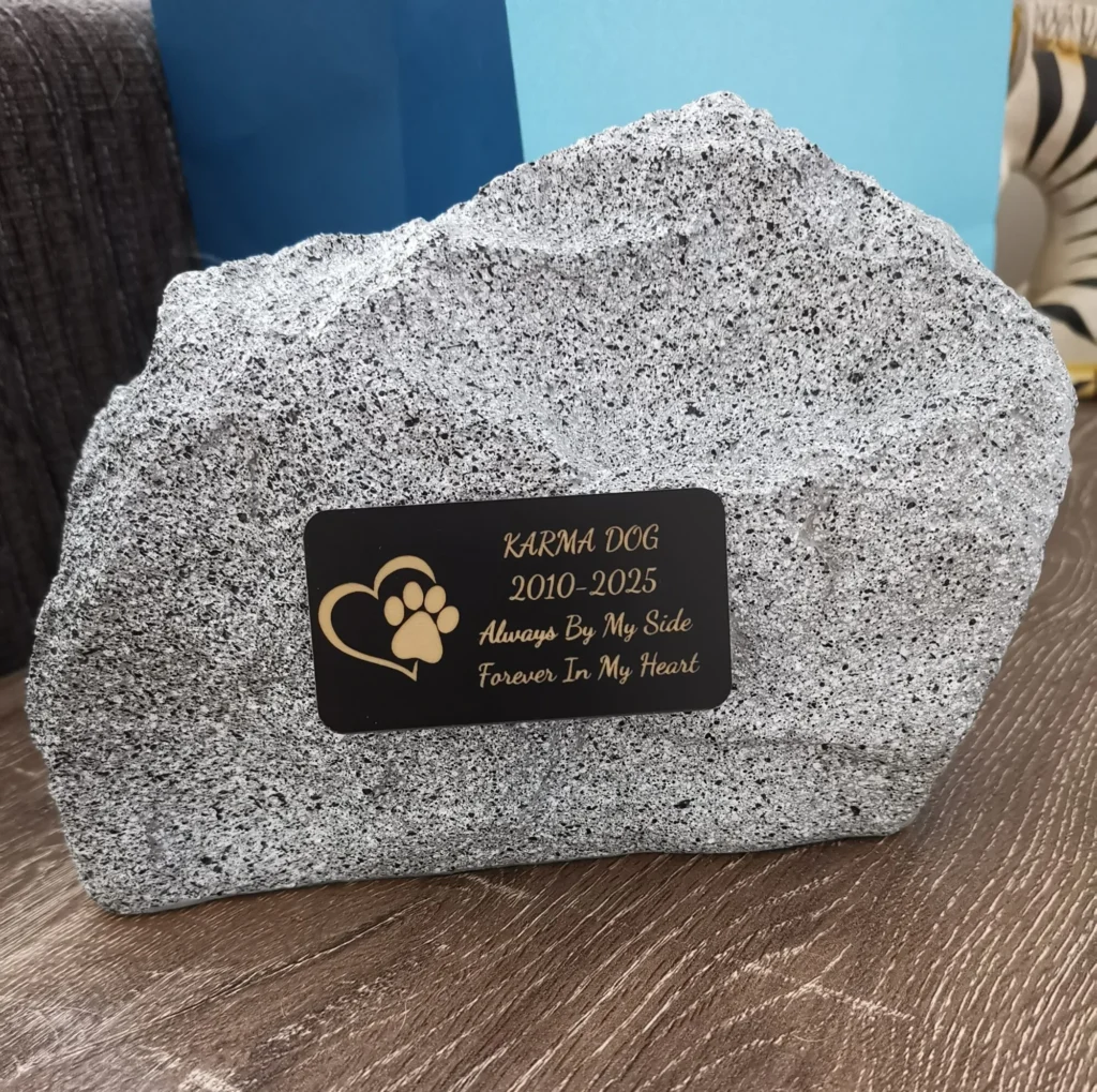 Image #1 from Jan Colahan