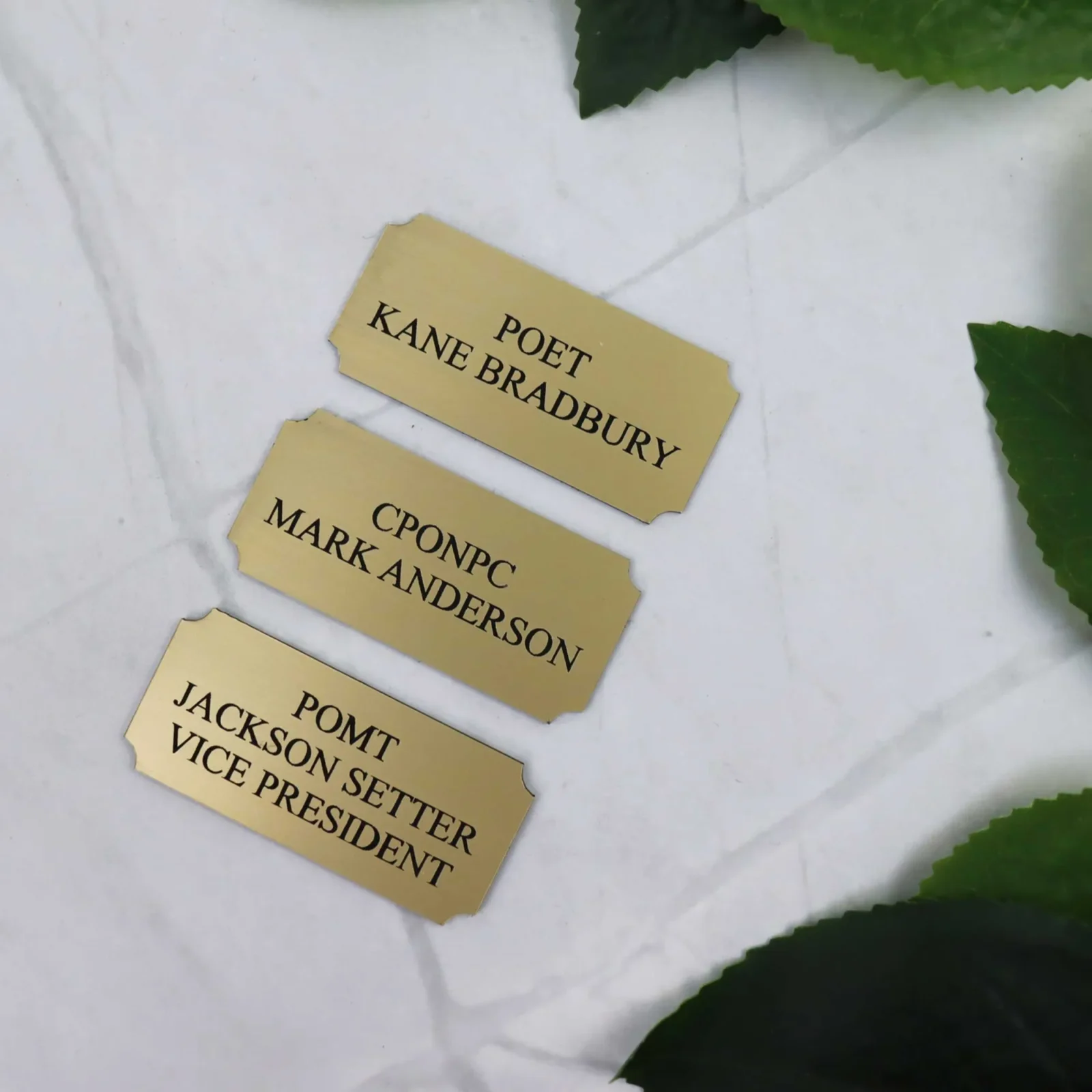 Trophy Plaque for Indoor Use