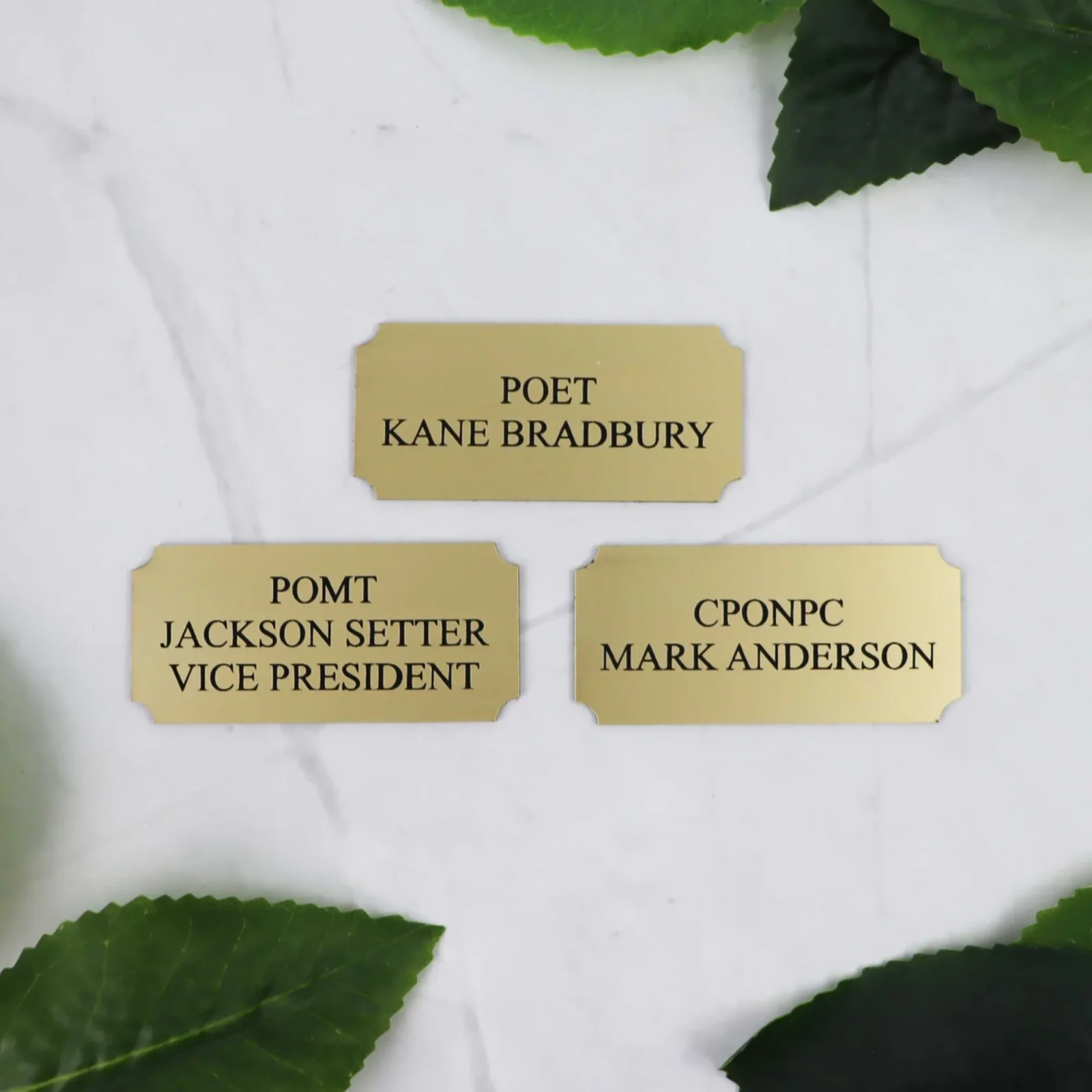 Trophy Plaque for Indoor Use