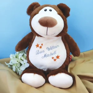 Brown Bear Embroidered Teddy
