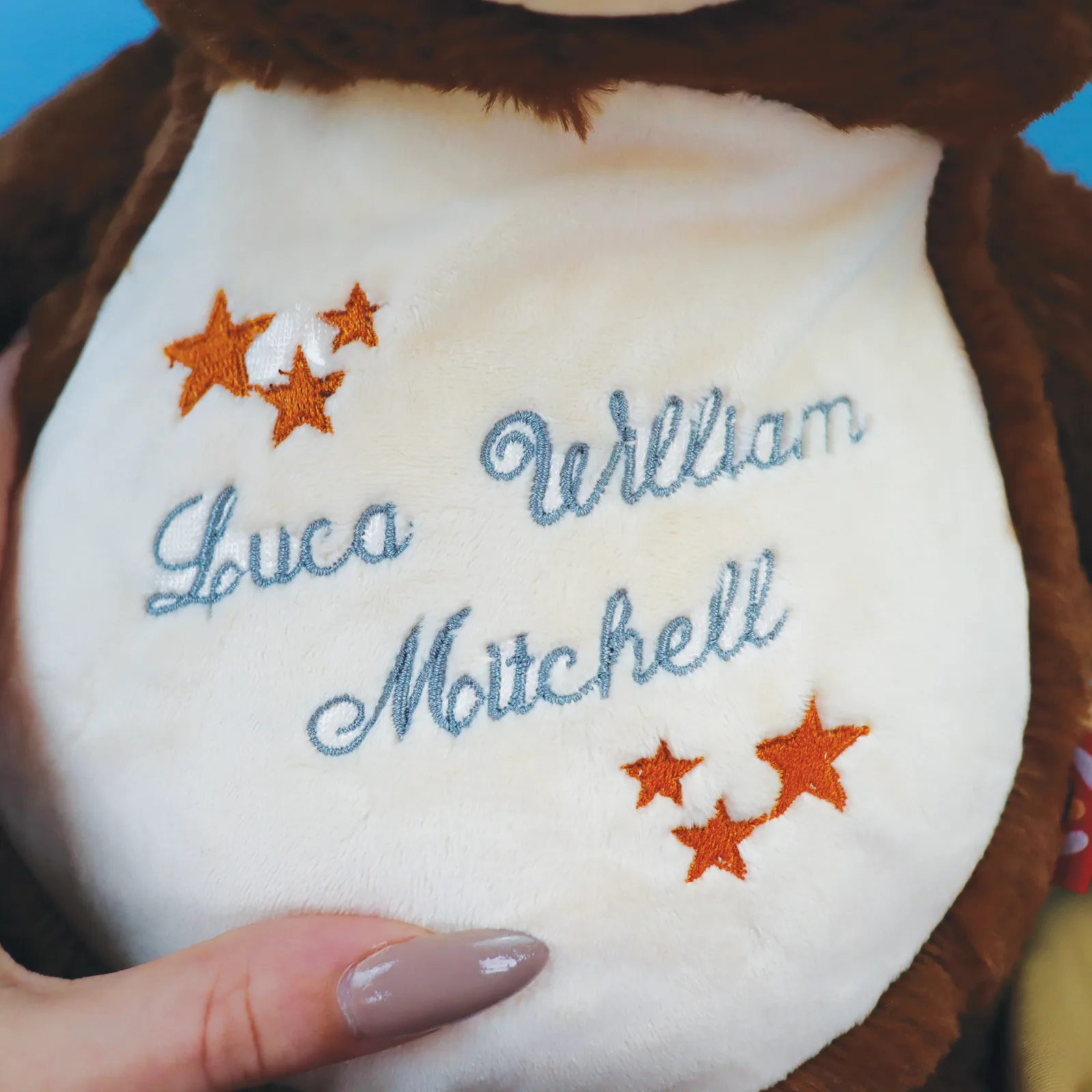 Brown Bear Embroidered Teddy