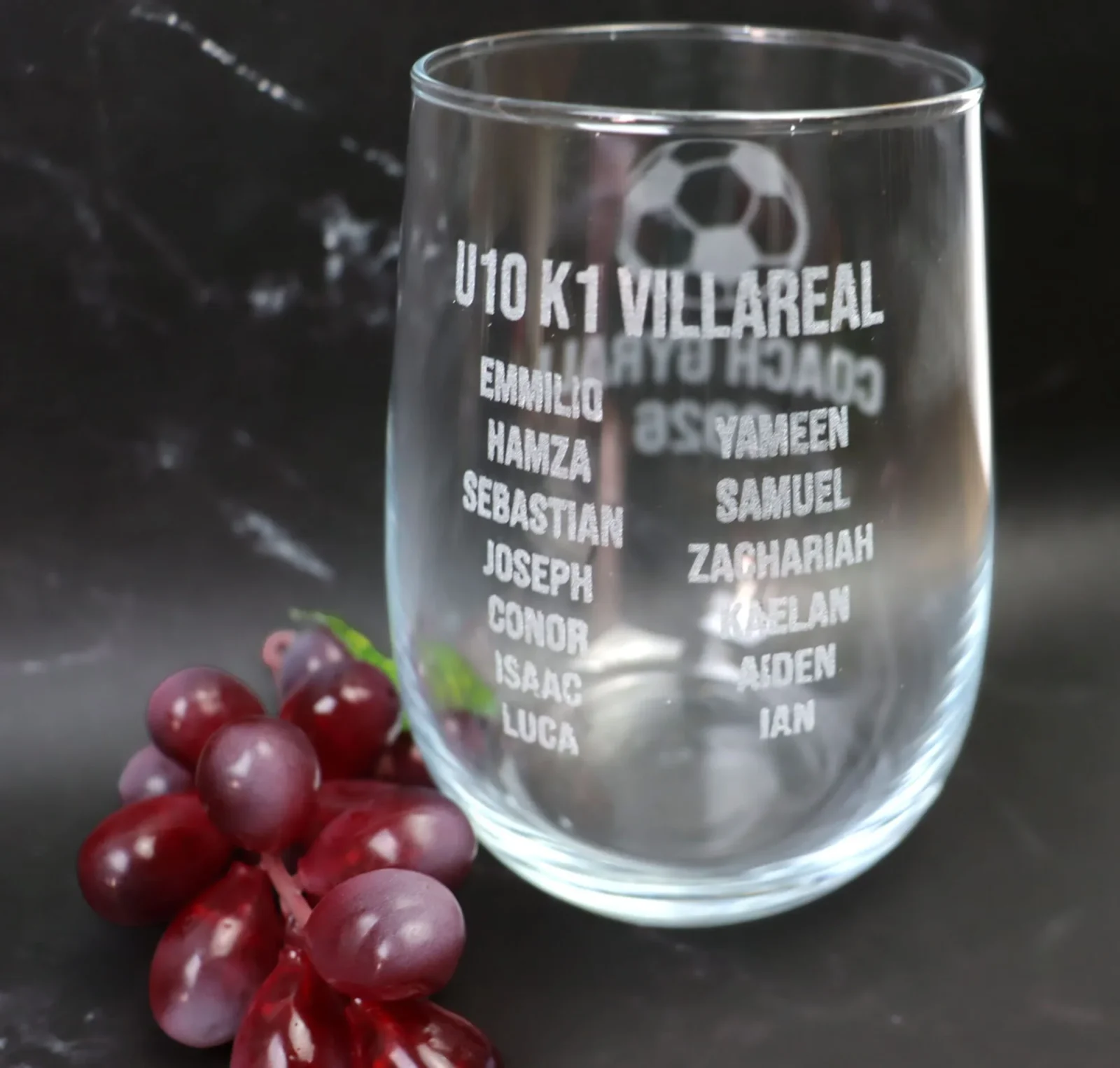 Coach Stemless Wine Glass